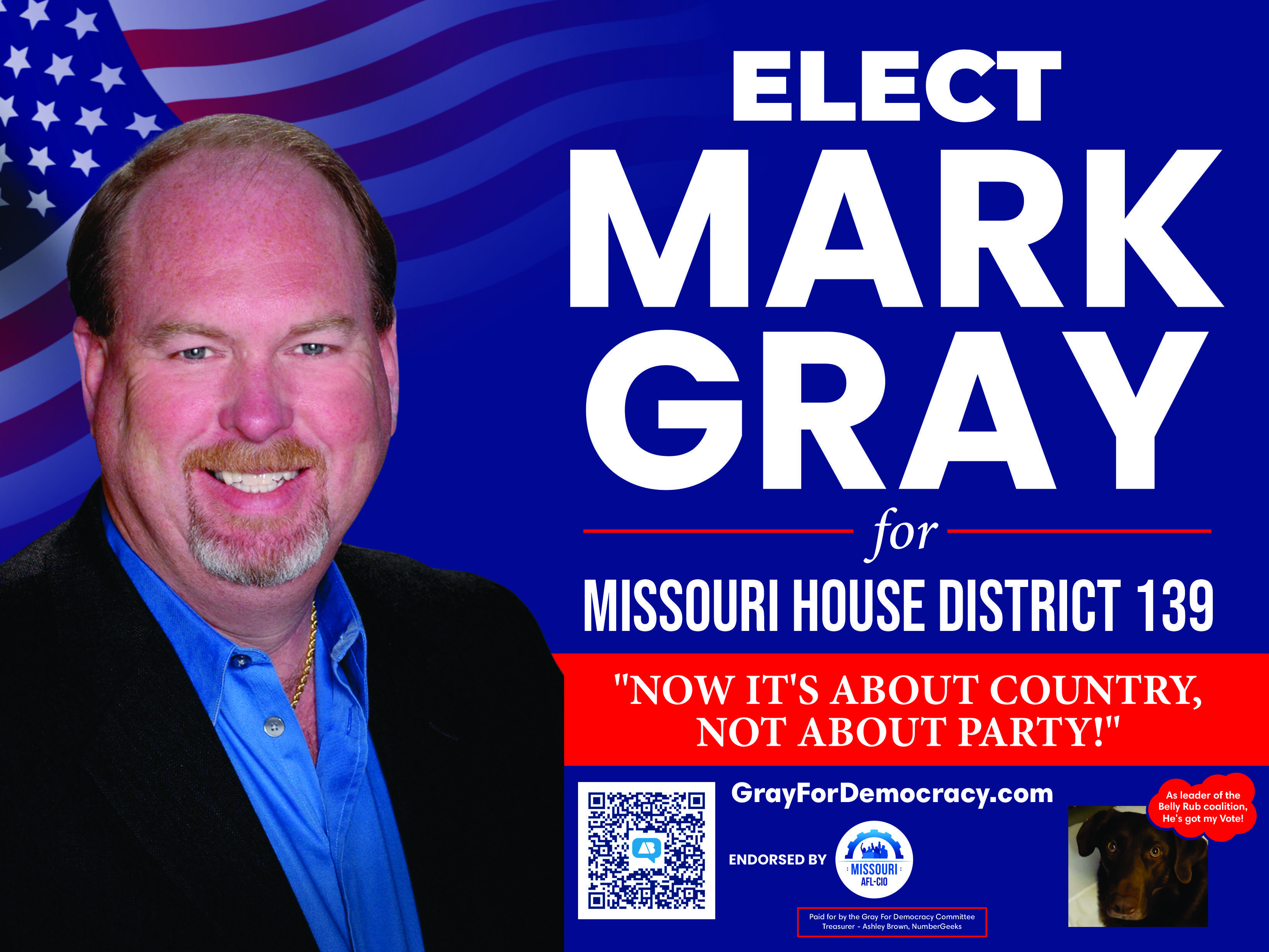 Mark Gray Missouri House District 139 Yard Sign